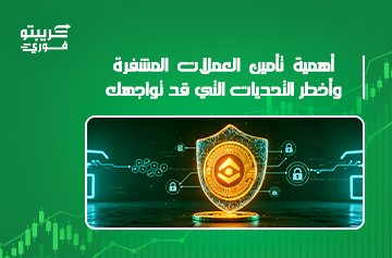 تأمين العملات المشفرة