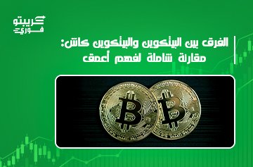 الفرق بين البيتكوين والبيتكوين كاش